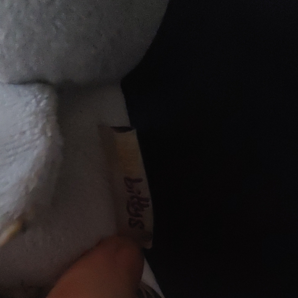 Itty Bitty Tauntaunt - Picture 2 of 2